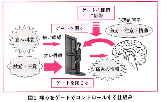 慢性痛の心理療法ABC Amazon.co.jp: 慢性痛の心理療法ABC : 山本 達郎: 本